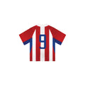 Knitted Paraguay Jersey